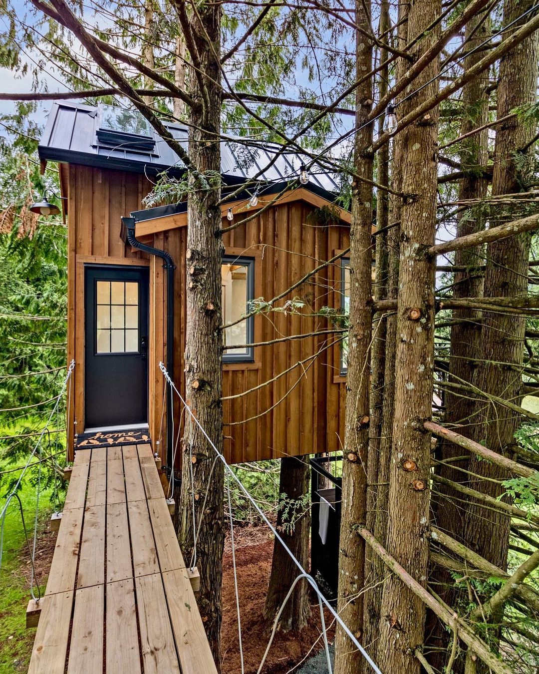 Admire Chilliwack's Tiny House In The Tree
